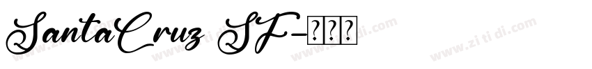 SantaCruz SF字体转换